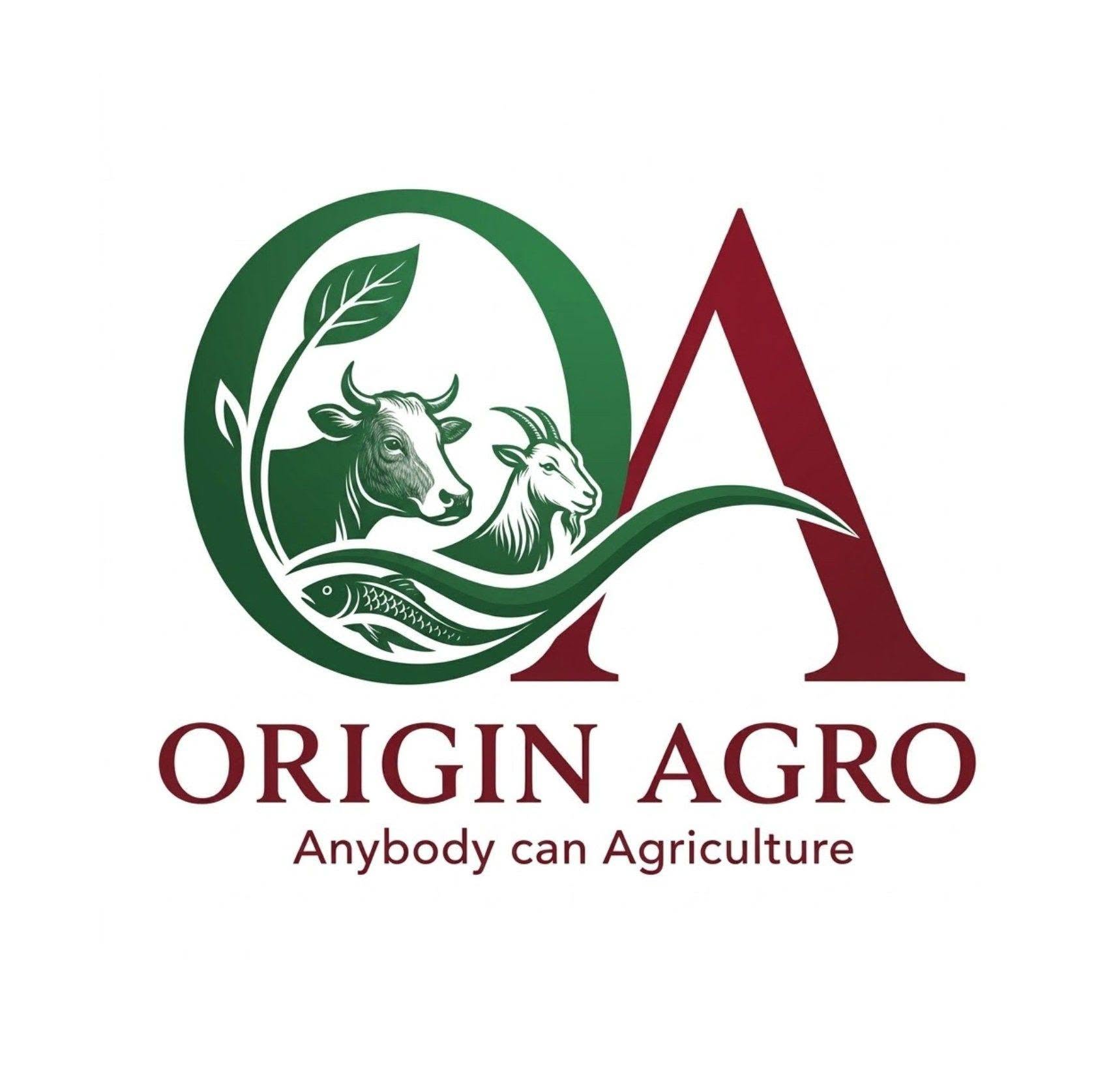 Origin Agro Logo